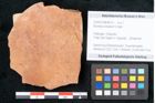 Foto (Objekt + Etikett) von Bumelia oreadum Unger (NHMW-GEO-2024-0188-8015)